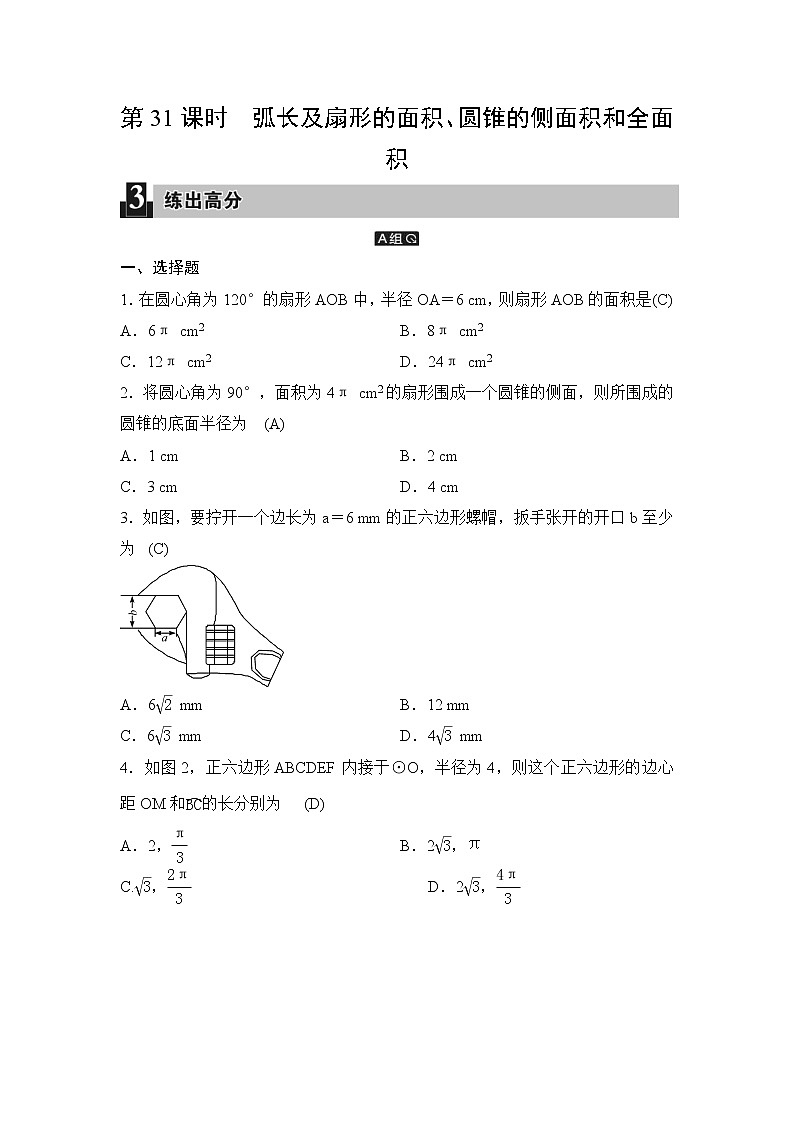 中考数学一轮全程复习课时练第31课时《弧长及扇形的面积、圆锥的侧面积和全面积》(教师版)01