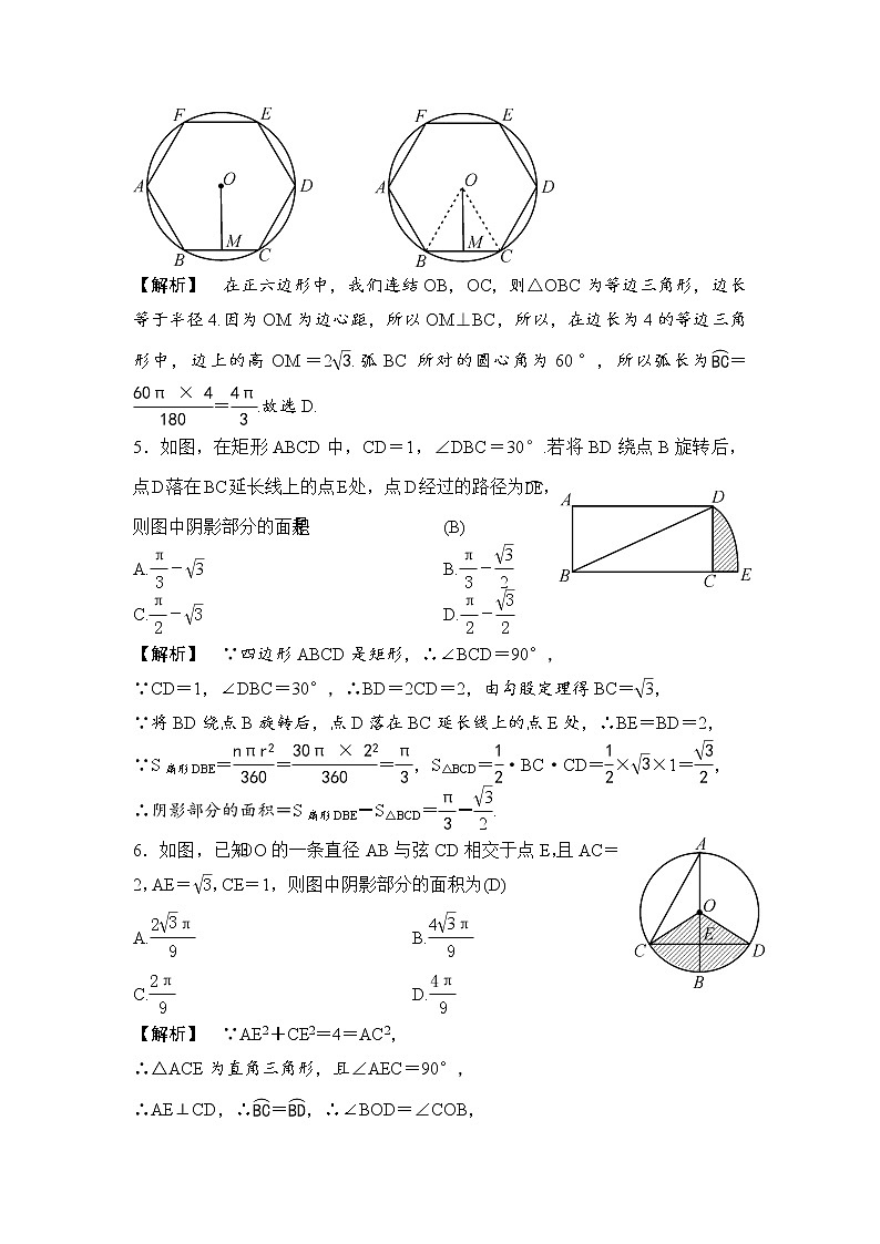 中考数学一轮全程复习课时练第31课时《弧长及扇形的面积、圆锥的侧面积和全面积》(教师版)02