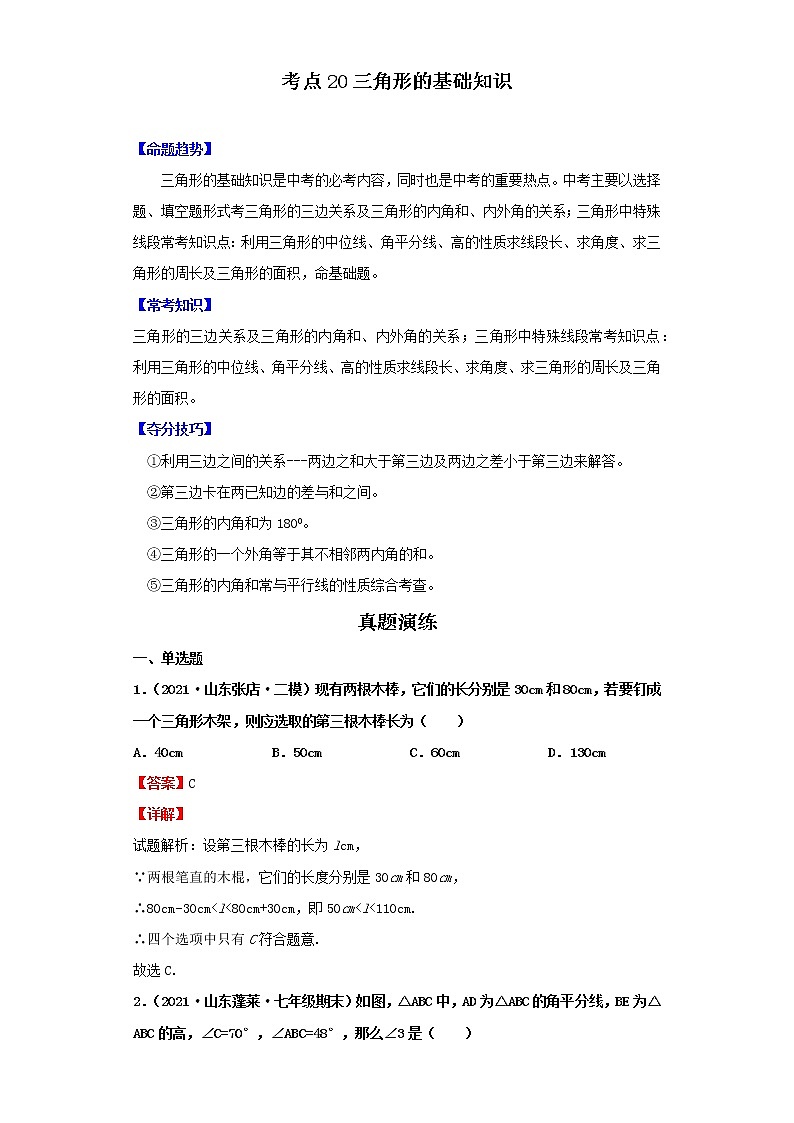考点20三角形的基础知识（解析版）-2022年数学中考一轮复习考点透析（北师大版）第1页