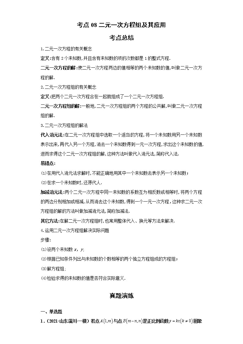 考点08二元一次方程组及其应用（解析版）-2022年数学中考一轮复习考点透析（青岛版）第1页