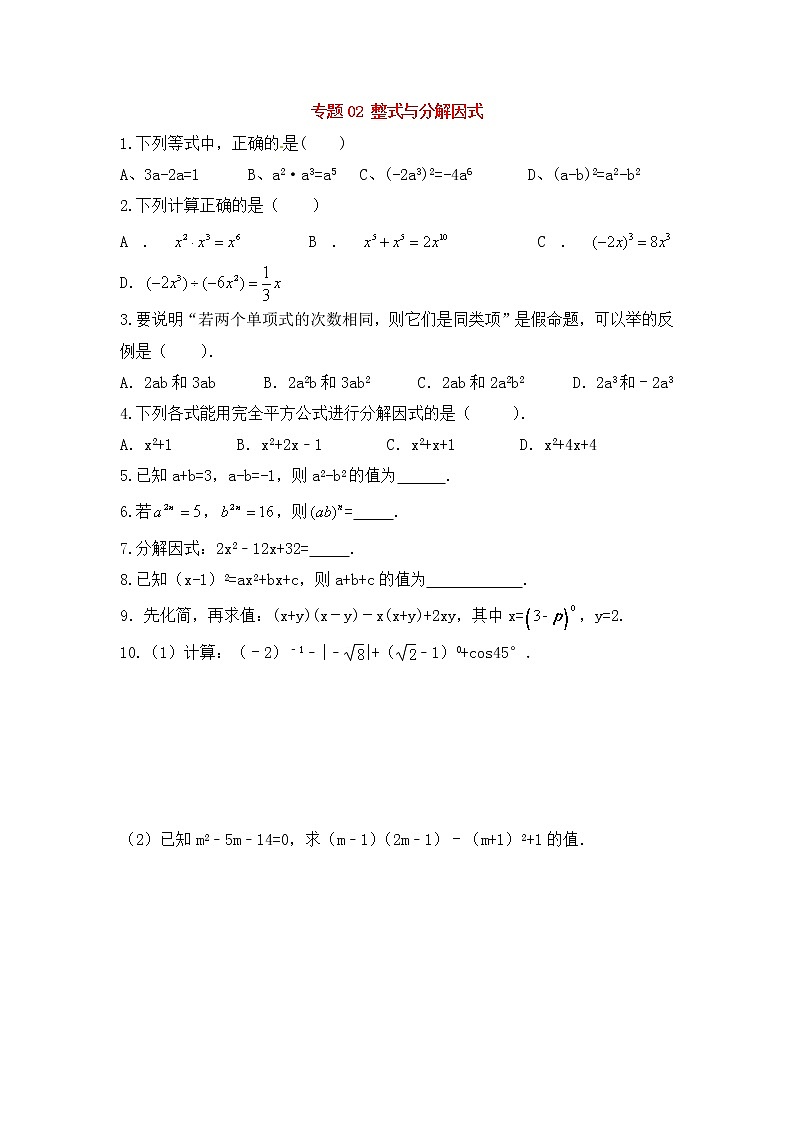 中考数学一轮复习20分钟测试专题02《整式与分解因式》（学生版）第1页