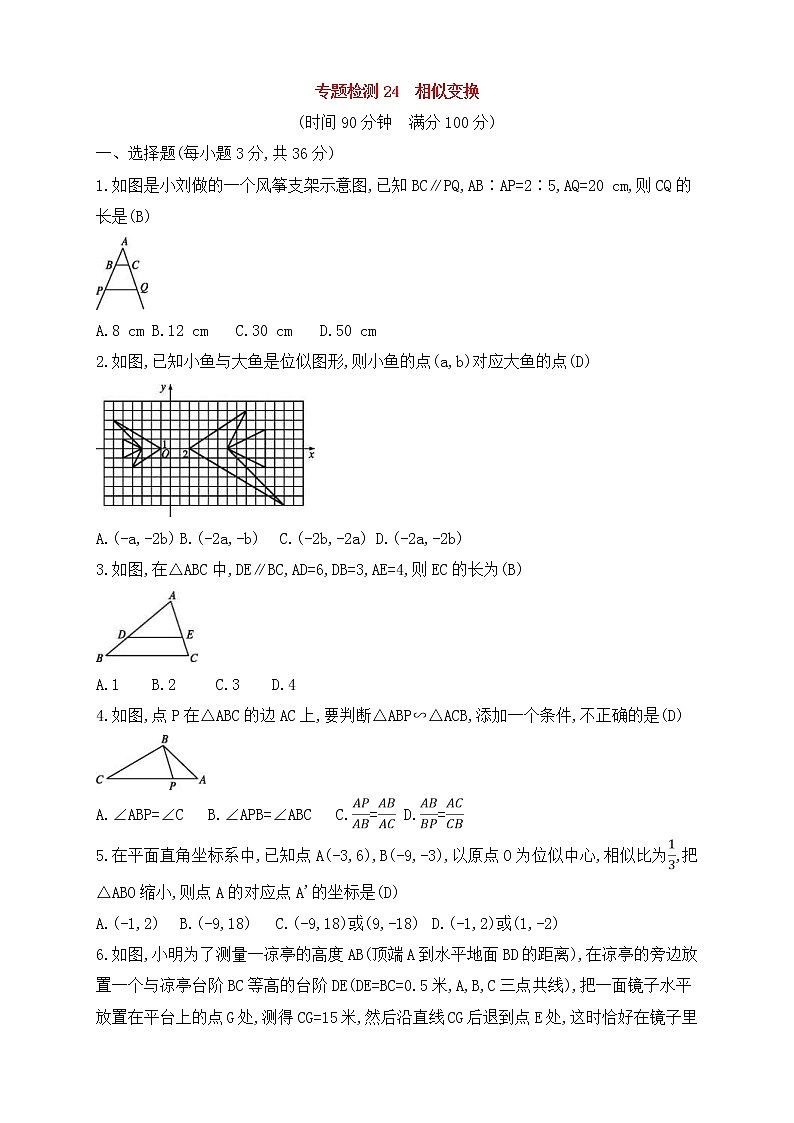 (通用版)中考数学一轮总复习专题检测24《相似变换》(教师版)01