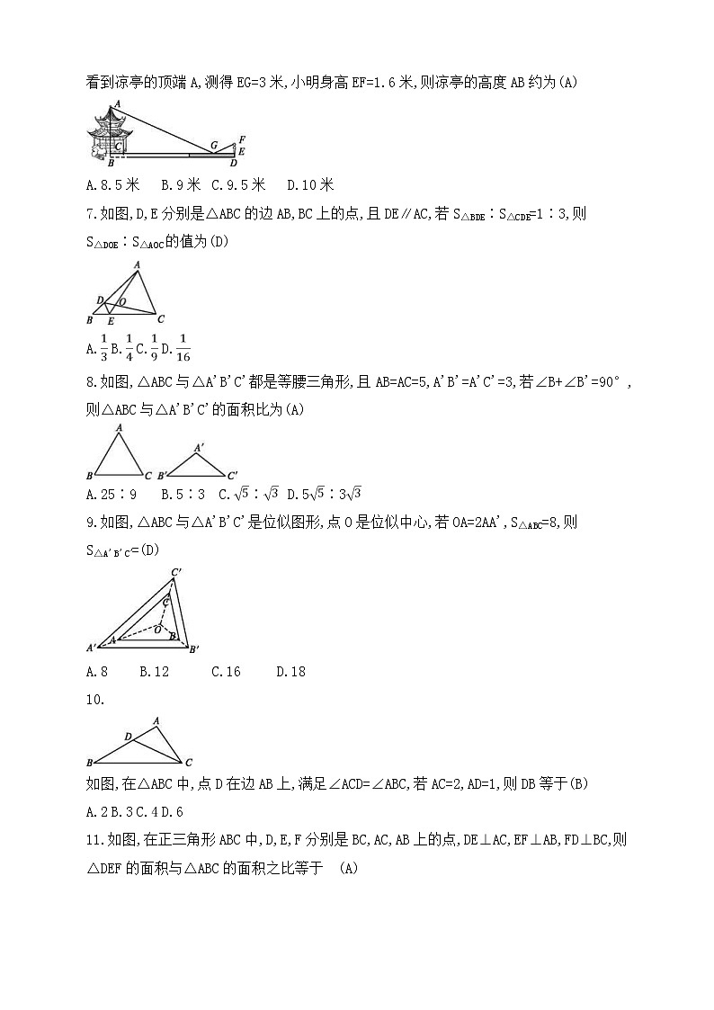 (通用版)中考数学一轮总复习专题检测24《相似变换》(教师版)02