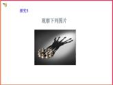 3.1 投影 （1）课件PPT