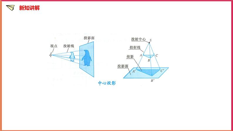 3.1投影（2）课件第5页