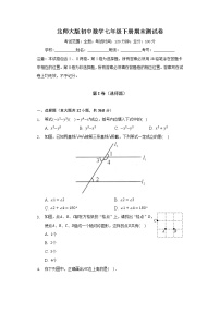 北师大版初中数学七年级下册期末测试卷（含答案解析）