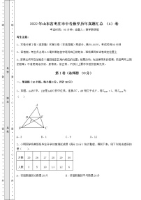 【历年真题】2022年山东省枣庄市中考数学历年真题汇总 （A）卷（含答案及详解）