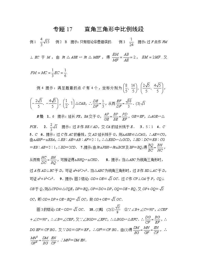 九年级数学 培优竞赛 专题17 直角三角形中比例线段_答案第1页