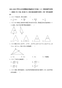 2021-2022学年山东省聊城市临清市八年级（上）期末数学试卷   word，解析版