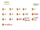 湘教版七年级下册数学 第4章 专题技能训练(四)  训练 相交线与平行线易错专练 习题课件