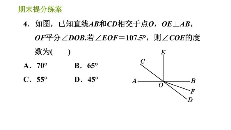 湘教版七年级下册数学 期末提分练案 第6课时　垂线段与点到直线的距离、两平行线间的距离 习题课件06