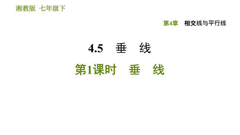 湘教版七年级下册数学 第4章 4.5.1　垂　线 习题课件01