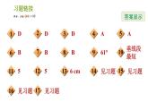 湘教版七年级下册数学 第4章 阶段综合训练【范围：4.5～4.6】 习题课件