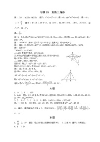 八年级数学 培优竞赛 专题18 直角三角形 讲义学案