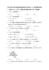 2021-2022学年甘肃省武威市凉州区七年级（上）期末数学试卷   word，解析版