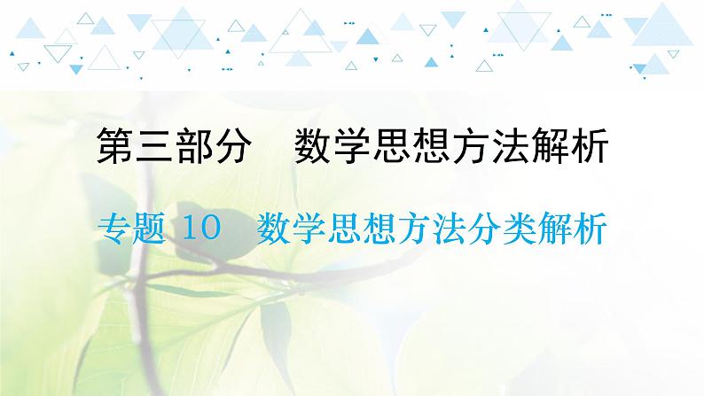 专题10数学思想方法分类解析第1页