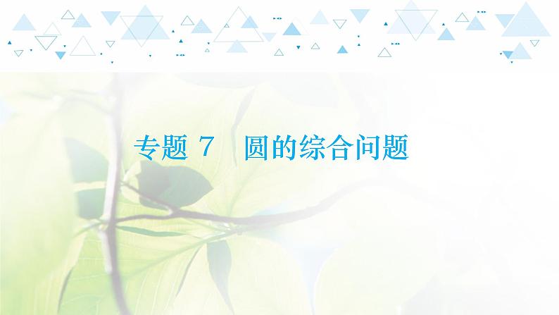 中考数学总复习第二篇热点专题提升教学课件01