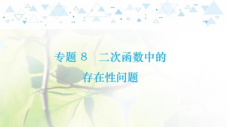 中考数学总复习第二篇热点专题提升教学课件01