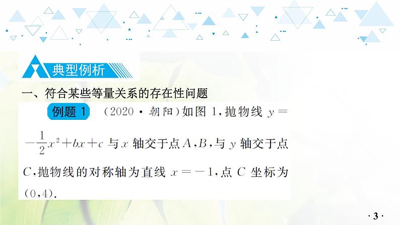 中考数学总复习第二篇热点专题提升教学课件05