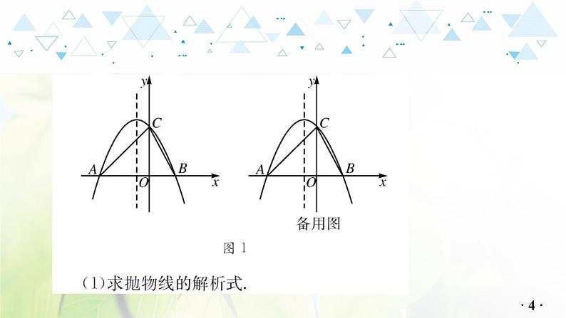 中考数学总复习第二篇热点专题提升教学课件06