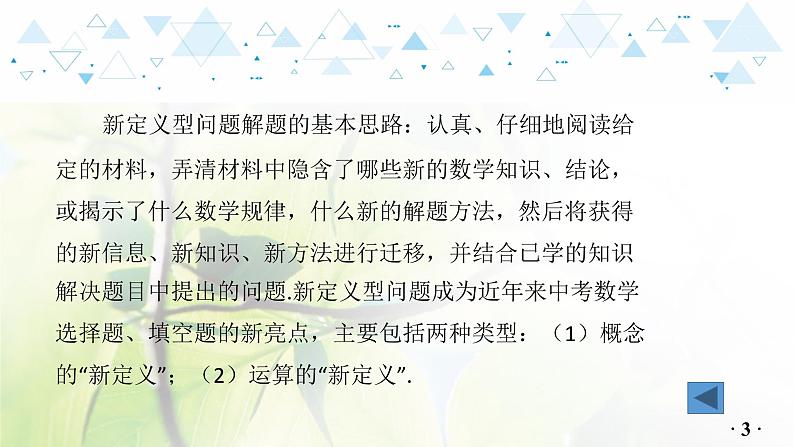 中考数学总复习第二篇热点专题提升教学课件04