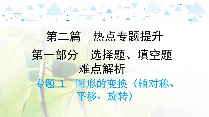 中考数学总复习第二篇热点专题提升教学课件01