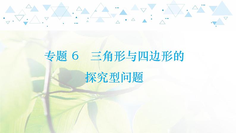 中考数学总复习第二篇热点专题提升教学课件01