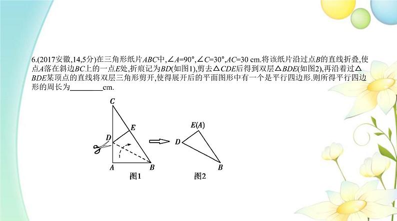 §6.1图形的轴对称、平移与旋转第8页