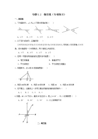 专题5.2 相交线（专项练习）-2021-2022学年七年级数学下册基础知识专项讲练（人教版）