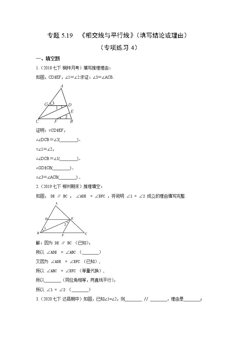 专题5.19 《相交线与平行线》（填写结论或理由）（专项练习4）七年级数学下册基础知识专项讲练（人教版）第1页