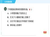 魯教五四版九年級(jí)上冊數(shù)學(xué) 第4章 4.1.1 投影與中心投影 習(xí)題課件