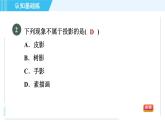 魯教五四版九年級(jí)上冊數(shù)學(xué) 第4章 4.1.1 投影與中心投影 習(xí)題課件