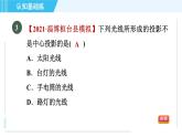 魯教五四版九年級(jí)上冊數(shù)學(xué) 第4章 4.1.1 投影與中心投影 習(xí)題課件