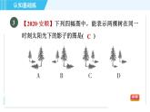 魯教五四版九年級(jí)上冊數(shù)學(xué) 第4章 4.1.2 目標(biāo)一　平行投影與正投影 習(xí)題課件