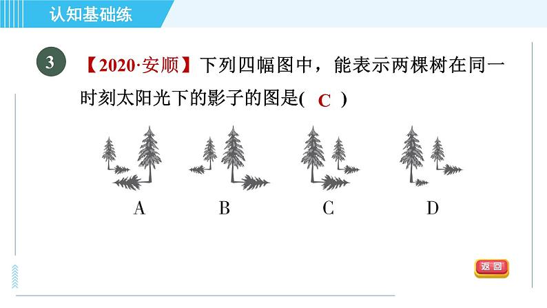 鲁教五四版九年级上册数学 第4章 4.1.2 目标一　平行投影与正投影 习题课件05