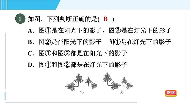 鲁教五四版九年级上册数学 第4章 4.1.2 目标二　平行投影、中心投影、正投影的五种常见应用 习题课件03