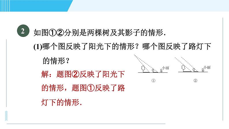 鲁教五四版九年级上册数学 第4章 4.1.2 目标二　平行投影、中心投影、正投影的五种常见应用 习题课件04