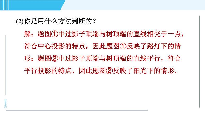 鲁教五四版九年级上册数学 第4章 4.1.2 目标二　平行投影、中心投影、正投影的五种常见应用 习题课件05