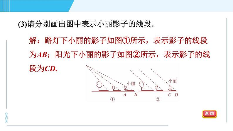 鲁教五四版九年级上册数学 第4章 4.1.2 目标二　平行投影、中心投影、正投影的五种常见应用 习题课件06