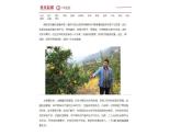 华东师大版数学九年级上册 22.1一元二次方程的应用（课件）