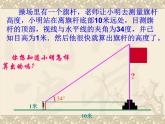 华东师大版数学九年级上册 24.3.1 锐角三角函数_1（课件）