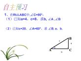 华东师大版数学九年级上册 24.4 解直角三角形（课件）