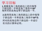 華東師大版數(shù)學(xué)九年級上冊 24.2 直角三角形的性質(zhì)（課件）