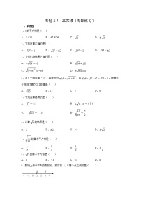 专题6.2 平方根（专项练习）-2021-2022学年七年级数学下册基础知识专项讲练（人教版）