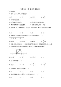 专题6.6 实数（专项练习）-2021-2022学年七年级数学下册基础知识专项讲练（人教版）