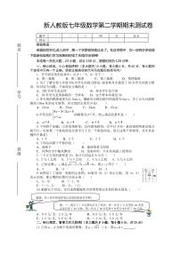 2019人教版七年级下册数学期末试卷及答案