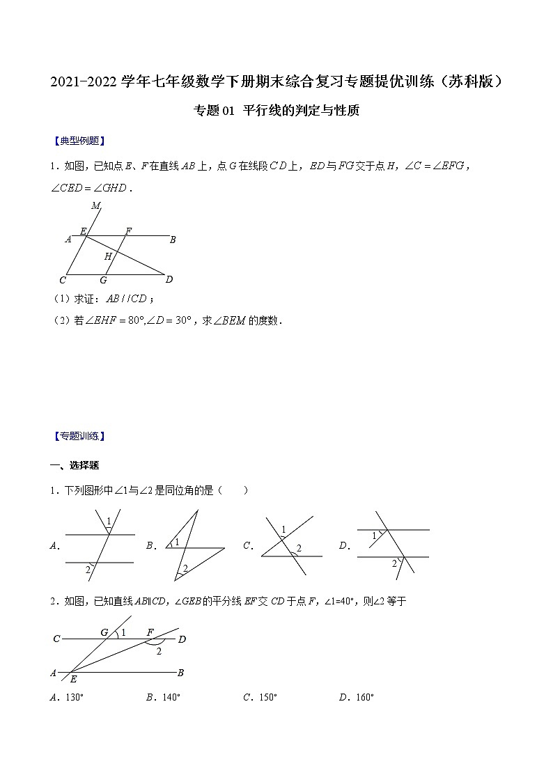 专题01 平行线的判定与性质-2021-2022学年七年级数学下册期末综合复习专题提优训练（苏科版）01