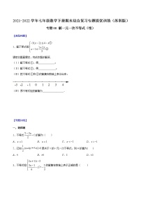 专题08 解一元一次不等式（组）-2021-2022学年七年级数学下册期末综合复习专题提优训练（苏科版）