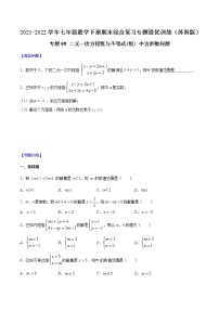 专题09 二元一次方程组与不等式(组) 中含参数问题-2021-2022学年七年级数学下册期末综合复习专题提优训练（苏科版）