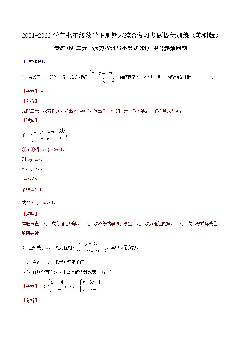 专题09 二元一次方程组与不等式(组) 中含参数问题-2021-2022学年七年级数学下册期末综合复习专题提优训练（苏科版）01